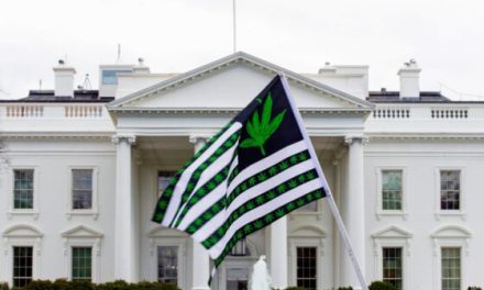 Biden pardons thousands convicted of marijuana charges on federal lands and in Washington