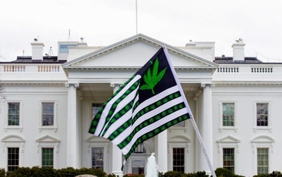Biden pardons thousands convicted of marijuana charges on federal lands and in Washington