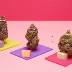 Study On Marijuana Use And Yoga Finds That Set And Setting Can Influence Mental Health Benefits