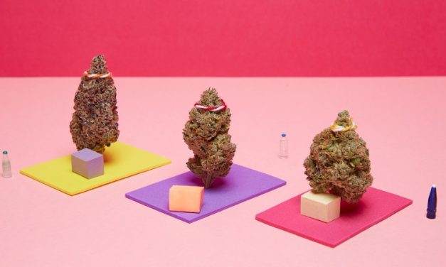 Study On Marijuana Use And Yoga Finds That Set And Setting Can Influence Mental Health Benefits