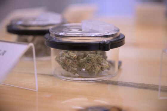 Brighton to allow marijuana stores for the first time