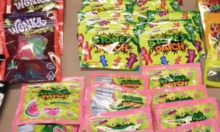 Brookline teenager who had ‘magic mushrooms’ jumped from 6th-story window: Police