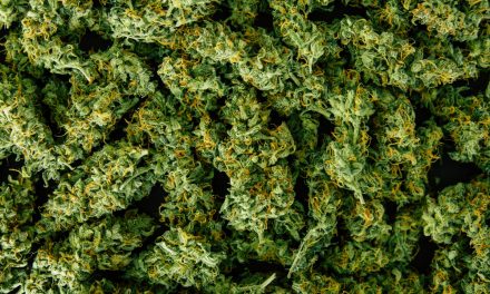 Connecticut To Show Price Per Gram of Flower Online