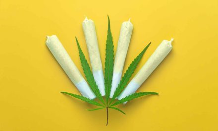 2024 U.S. Cannabis Sales Projected To Exceed $31 Billion