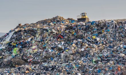 Cannabis Waste in Washington State Would Be Diverted from Landfills Under New Bill