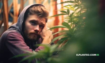 ¿Qué Hacer si el Porro ya no te Pega como Antes? Estos son los Consejos de los Expertos