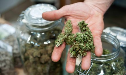 Customs and Border Protection Targeting Licensed New Mexico Weed Businesses