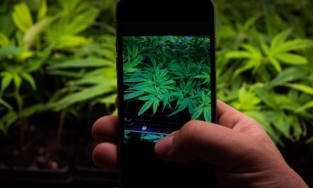 Colorado Bill Banning Social Media MJ, Drug Posts Raises Constitutional Concerns