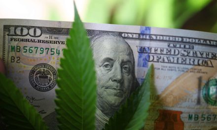 California County Mulls Reduction To Cannabis Cultivation Tax