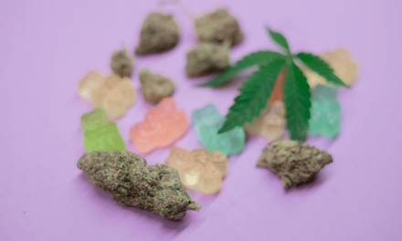 Best THC Gummies: The Ultimate Guide to Euphoric Edibles