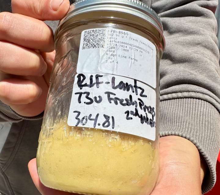 The Fellowship of the Flower