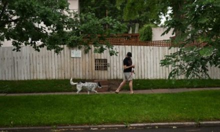 “Chicken Window Happy Hours” a way for Denver neighbors to form bonds through urban farming