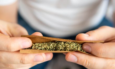 Poll Results Show New Hampshire Support for Adult-Use Legalization