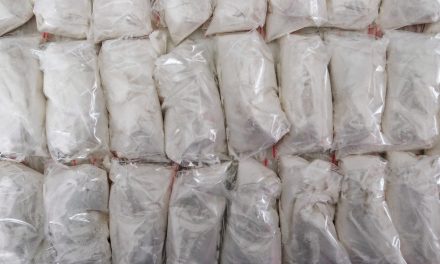 Feds Charge 47 Linked to Sinaloa Cartel
