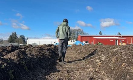 Microbiome Sculpting: Designing the Invisible Ecosystem Behind Resin and Terpene Power